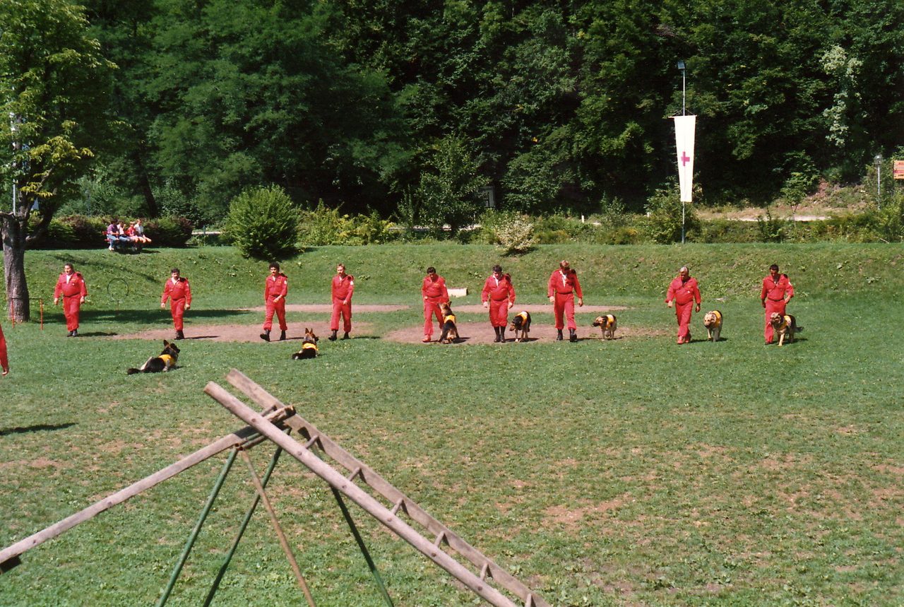 Historische Aufnahme aus dem Diensthundetraining